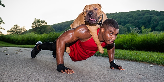 Man performing push-up with large dog on his back