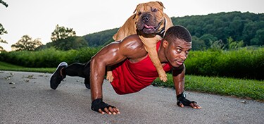 Man performing push-up with large dog on his back
