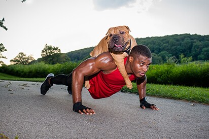 Man performing push-up with large dog on his back